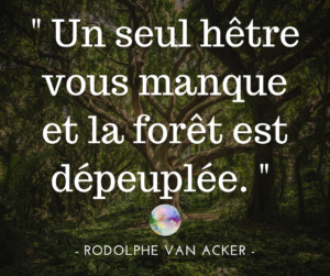 Citation Rodolphe Van Acker Un Seul Hetre Vous Manque Et La Foret Est Depeuplee Bulles De Legerete