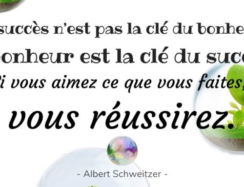 Citation Albert Schweitzer | Le succès n’est pas la clé du bonheur