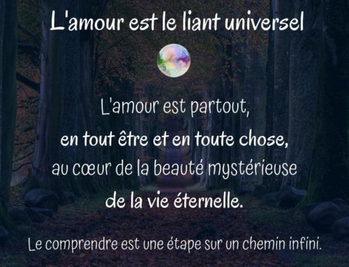 L’amour est le liant universel, le comprendre est une étape vers un chemin infini