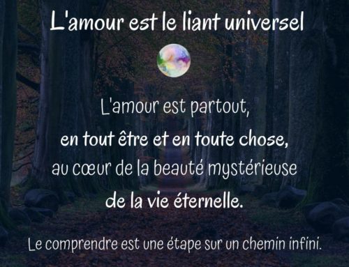 L’amour est le liant universel, le comprendre est une étape vers un chemin infini