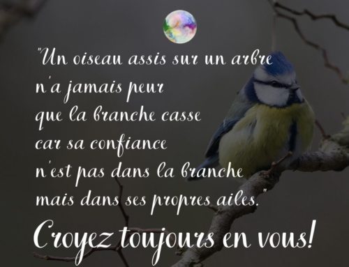 Citation confiance en soi | Un oiseau assis sur un arbre