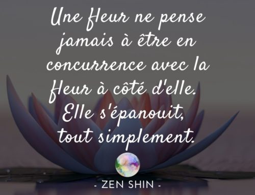 Citation Zen Shin | Une fleur ne pense jamais à être en concurrence