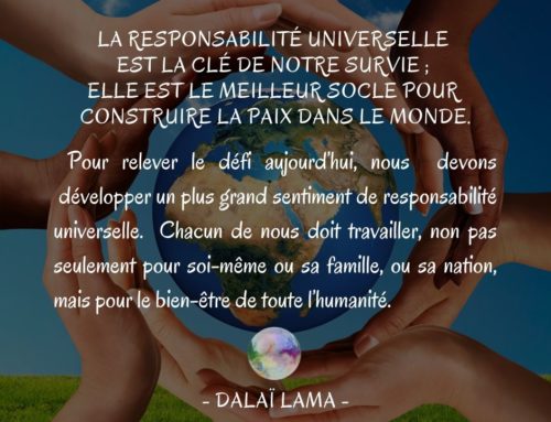 Citation Dalaï Lama | La responsabilité universelle est la clé de notre survie