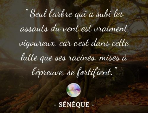 Citation Sénèque | Seul l’arbre qui a subit les assauts du vent