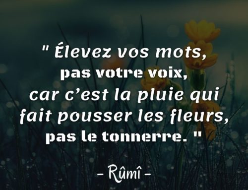 Citation Rûmî | Élevez vos mots, pas votre voix