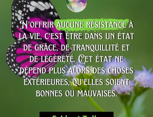 Citation Eckhart Tolle – N’offrir aucune résistance à la vie