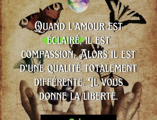 Citation Osho – Quand l’amour est éclairé, il est compassion