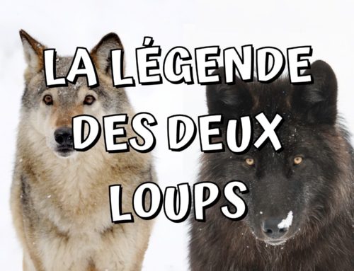 LA LÉGENDE DES DEUX LOUPS – Histoire philosophique pour maîtriser vos pensées et vos émotions